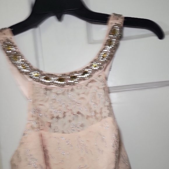 Sequin Hearts Light Pink Lace Maxi Dress - Picture 7 of 8